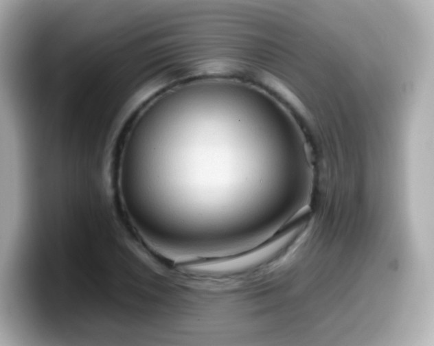 X0000099571026200805231527