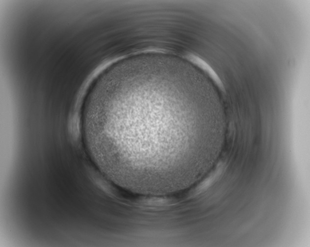 X0000099571027200805231527