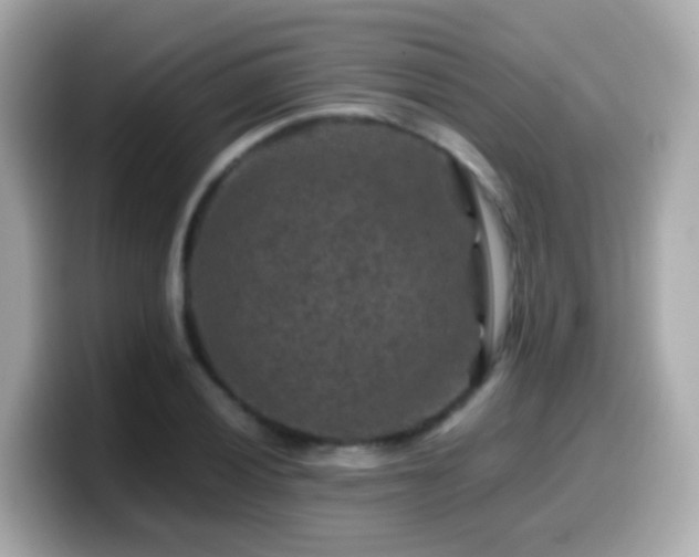 X0000099571028200805231527