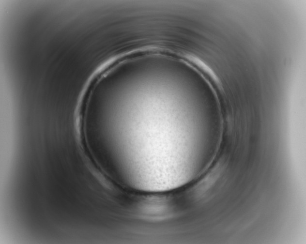 X0000099571029200805231527