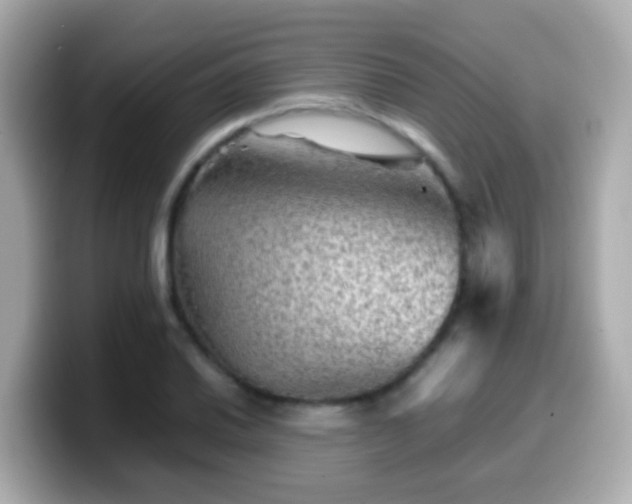 X0000099571030200805231527