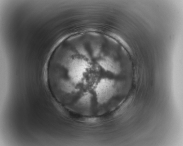 X0000099571031200805231527