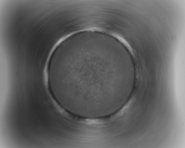 X0000099571032200805231527