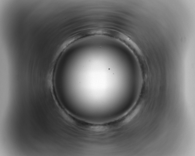 X0000099571033200805231527