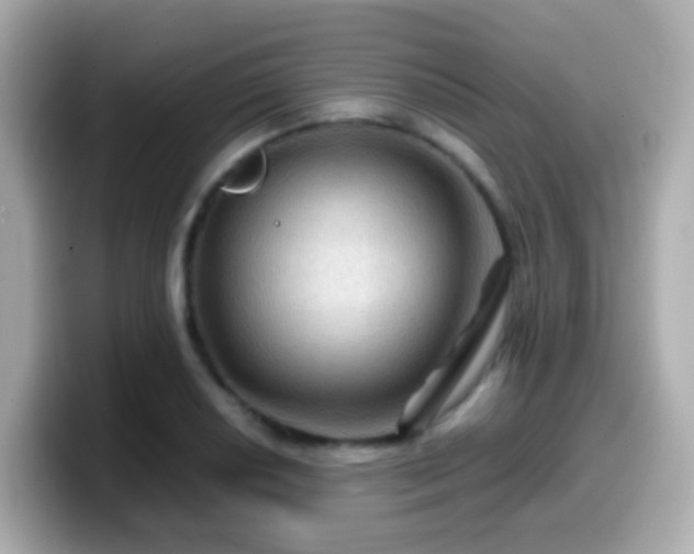 X0000099571034200805231527