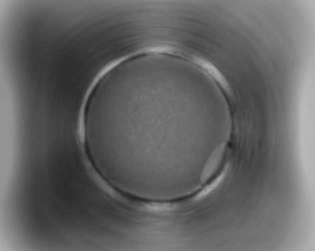 X0000099571036200805231527