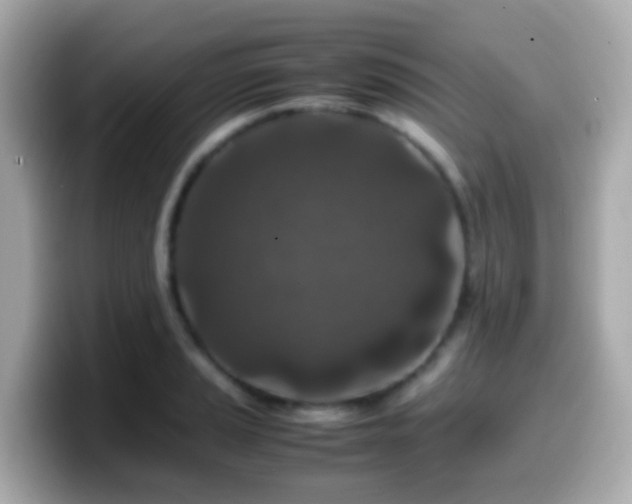 X0000099571037200805231527