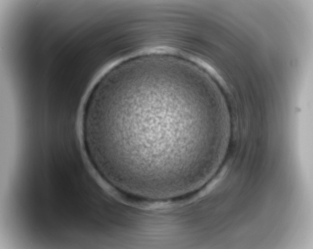 X0000099571038200805231527