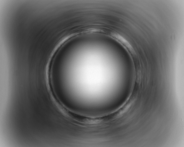 X0000099571039200805231527