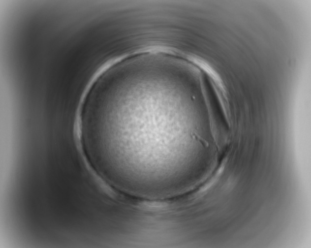 X0000099571040200805231527