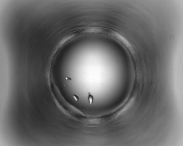 X0000099571041200805231527