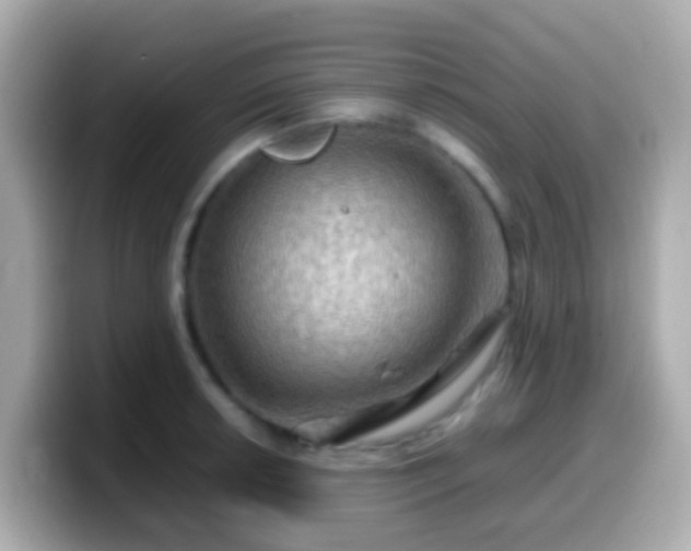 X0000099571042200805231527