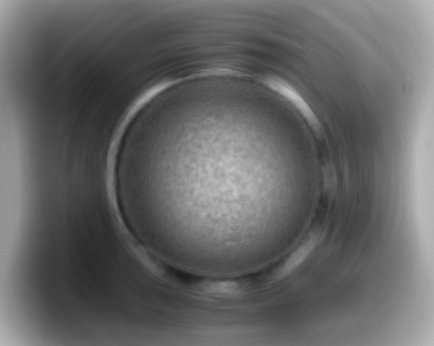 X0000099571043200805231527