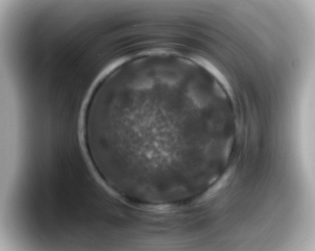 X0000099571045200805231527