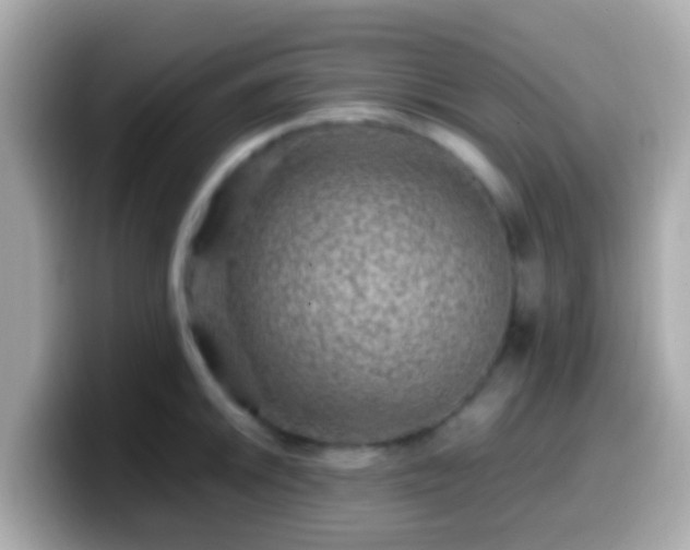 X0000099571046200805231527