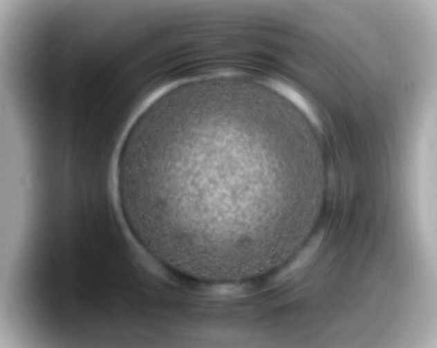 X0000099571047200805231527