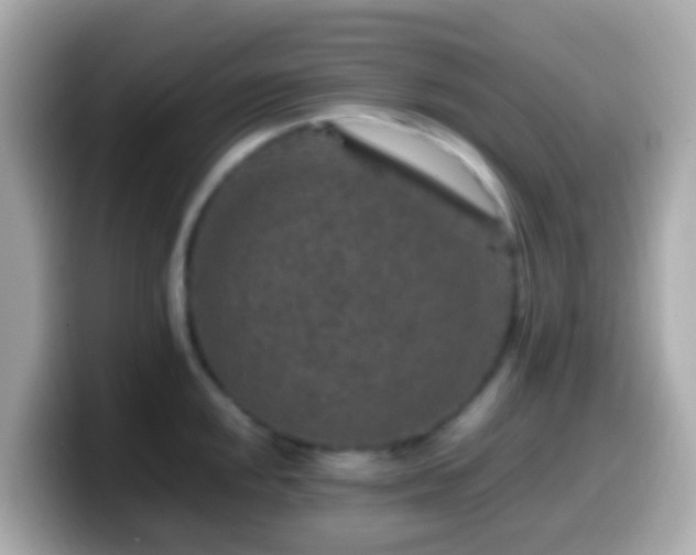 X0000099571048200805231528