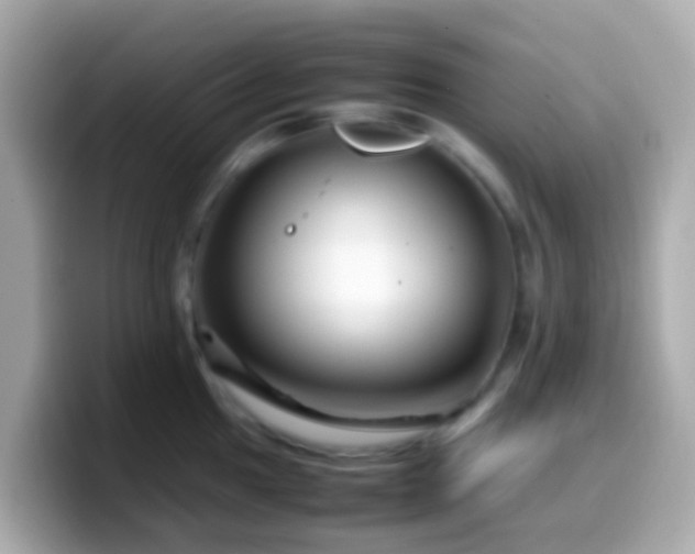 X0000099571049200805231528