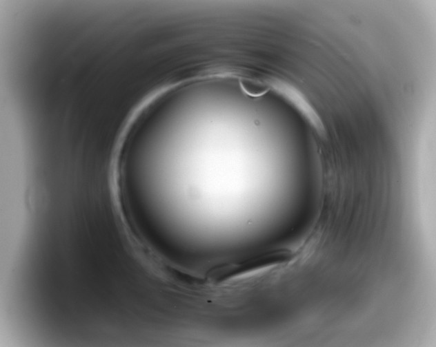 X0000099571051200805231528