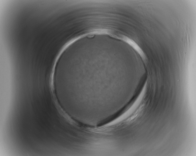 X0000099571052200805231528