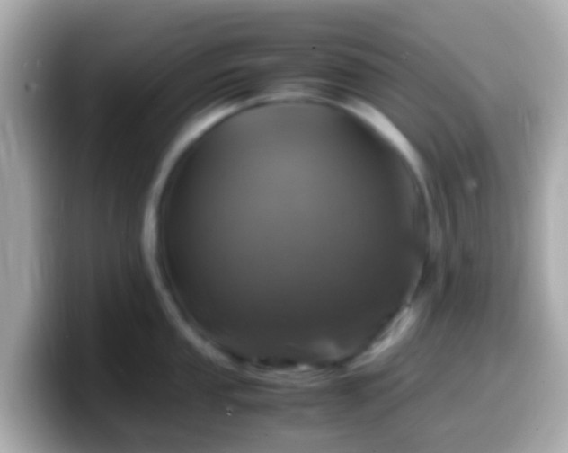 X0000099571053200805231528