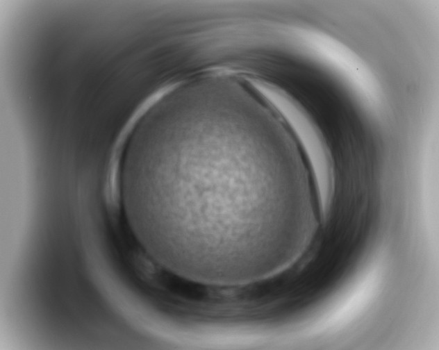 X0000099571054200805231528