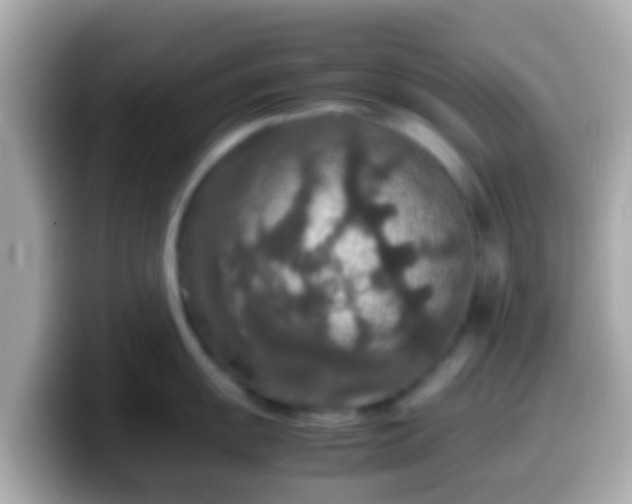 X0000099571055200805231528