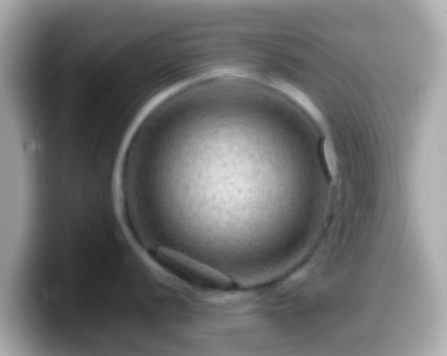 X0000099571056200805231528