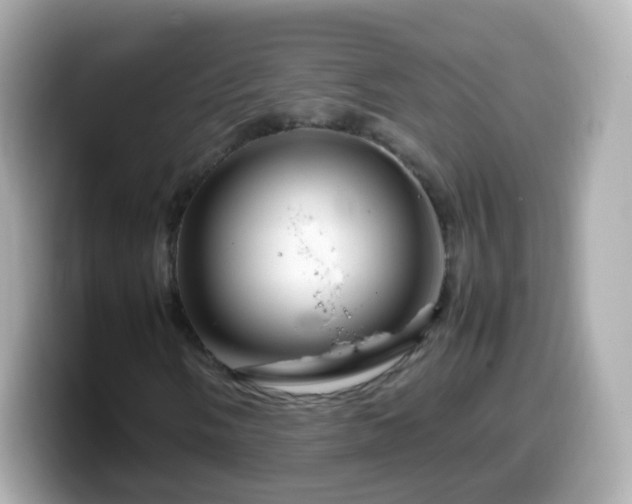 X0000099571058200805231527