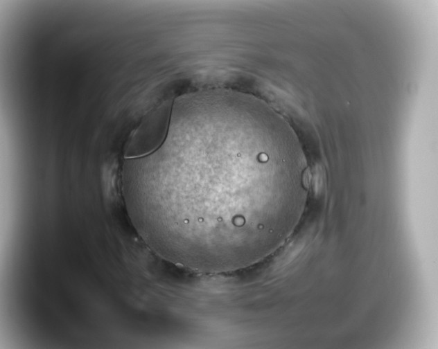 X0000099571059200805231527