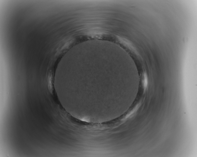 X0000099571060200805231527