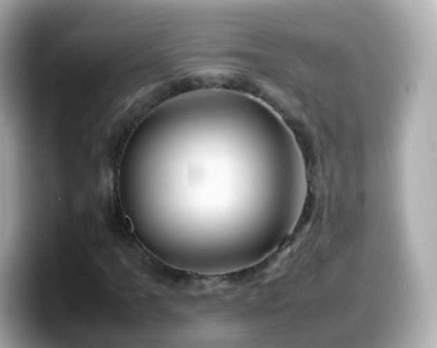 X0000099571061200805231527