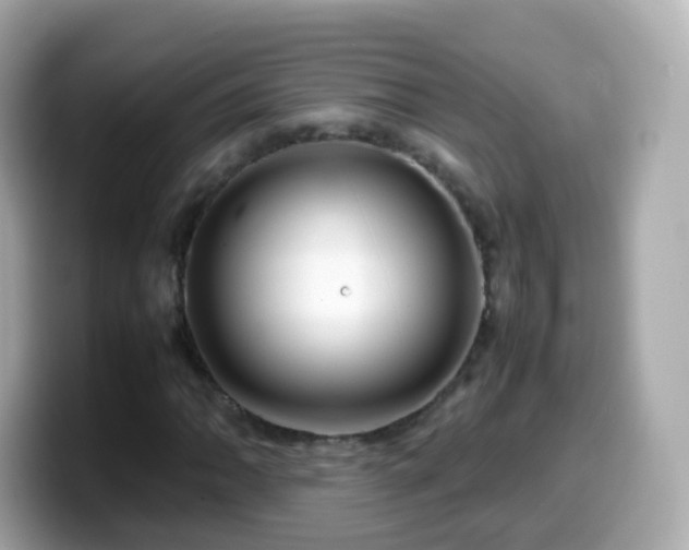 X0000099571062200805231527