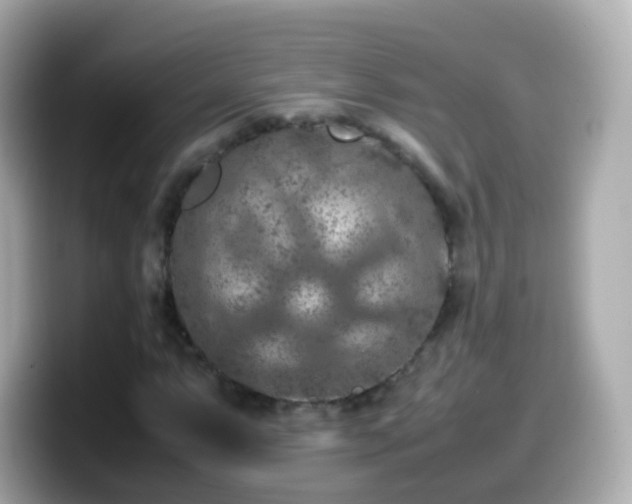 X0000099571063200805231527