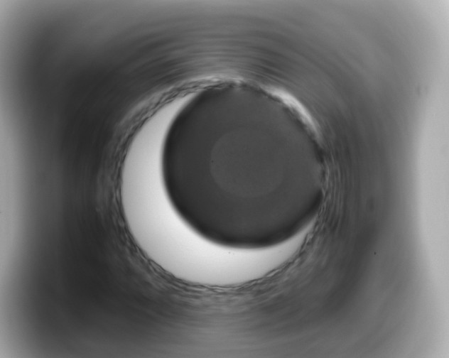 X0000099571064200805231527