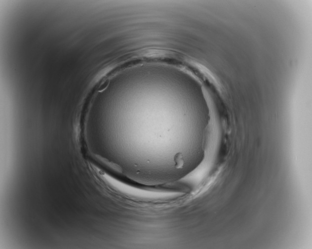 X0000099571065200805231527