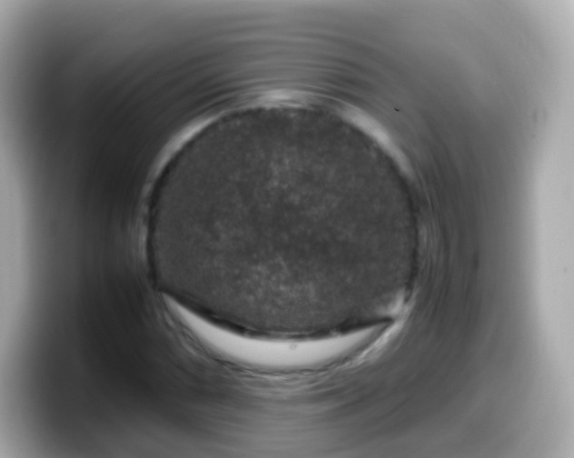 X0000099571066200805231527