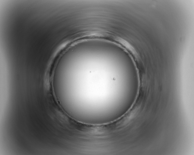 X0000099571067200805231527