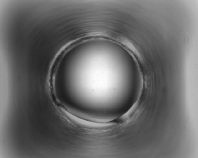 X0000099571068200805231527