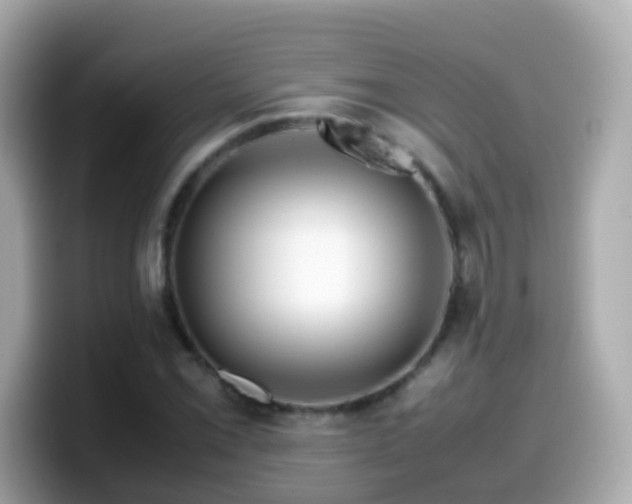 X0000099571069200805231527