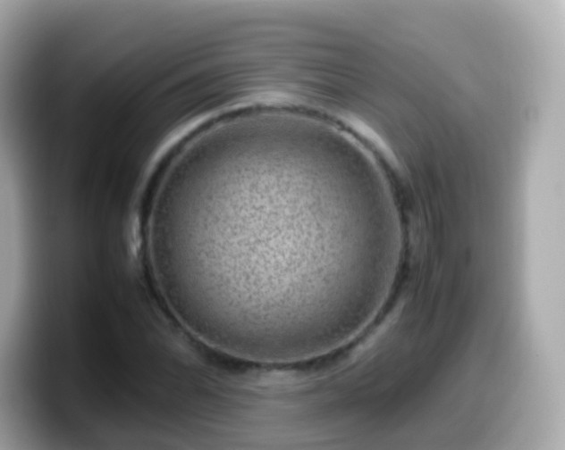 X0000099571070200805231527