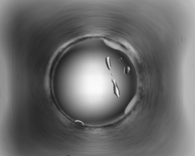 X0000099571072200805231527