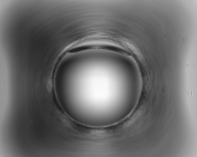 X0000099571073200805231527