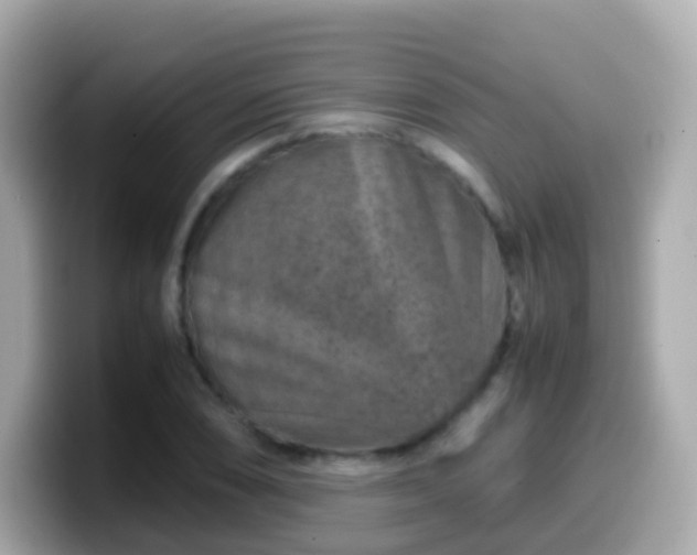 X0000099571074200805231527