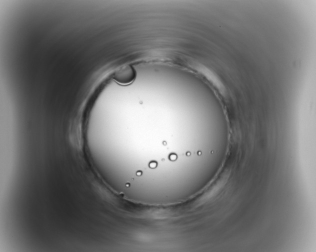 X0000099571075200805231527