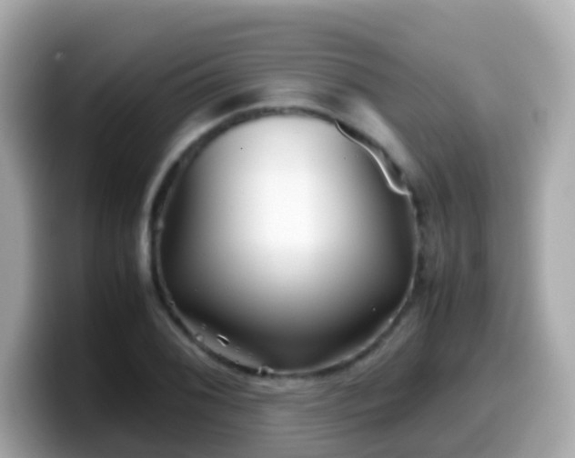 X0000099571076200805231527