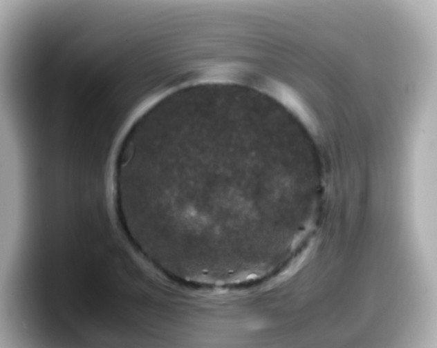 X0000099571077200805231527