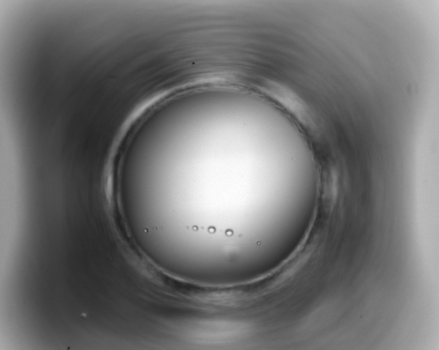 X0000099571078200805231527