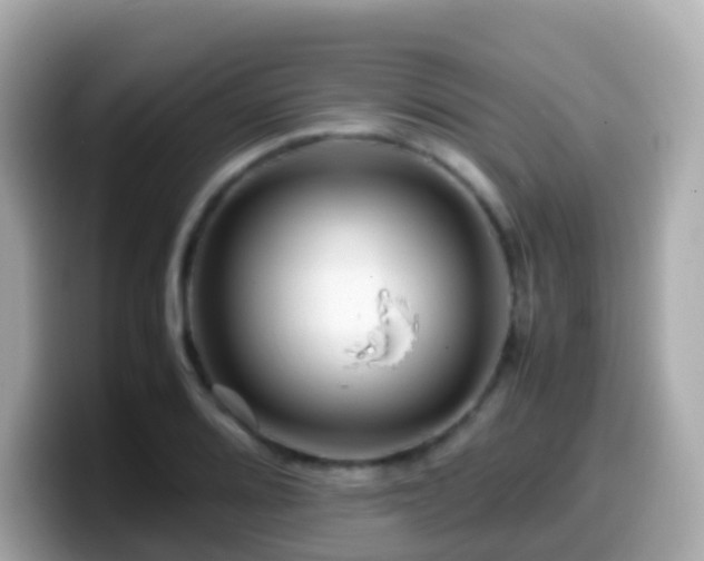 X0000099571080200805231527