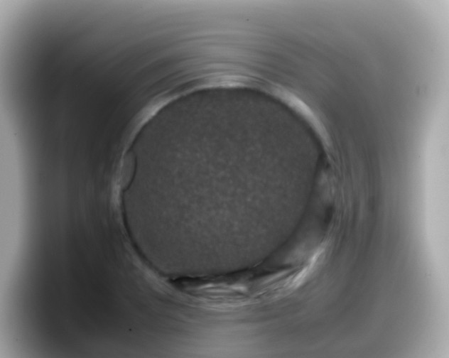 X0000099571081200805231527